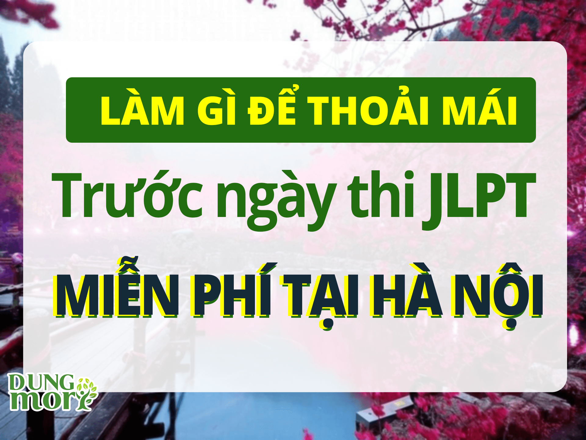 Làm gì để thoải mái trước ngày thi jlpt miễn phí tại Hà Nội