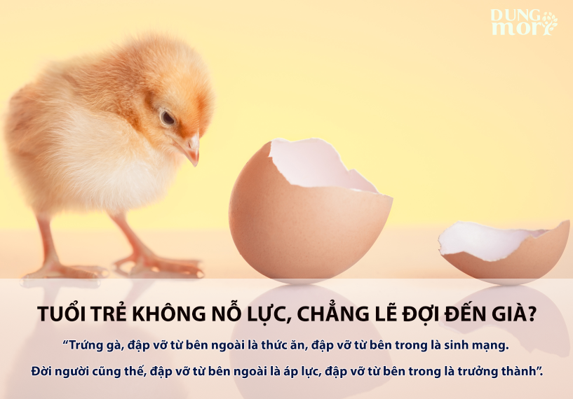 TUỔI TRẺ KHÔNG NỖ LỰC, CHẲNG LẼ ĐỢI ĐẾN GIÀ?